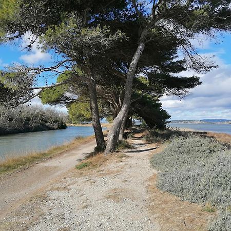 Entre Mer Et Roseaux - Piscine - Proche Centre Et Mer - Petfriendly Port-la-Nouvelle Exteriér fotografie
