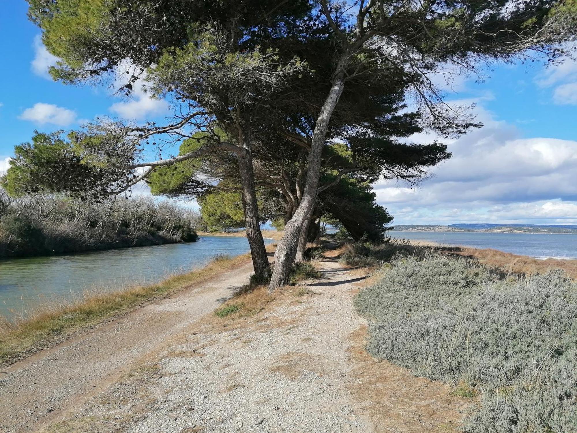 Entre Mer Et Roseaux - Piscine - Proche Centre Et Mer - Petfriendly Port-la-Nouvelle Exteriér fotografie